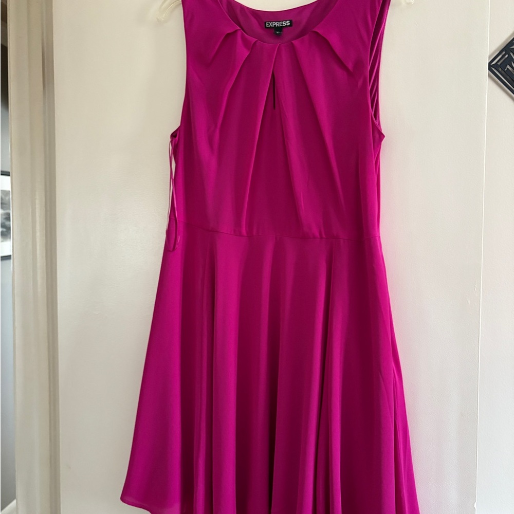 Express Women's Fuchsia Mini Dress